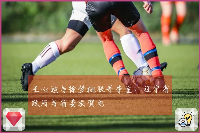 王心迪与徐梦桃联手夺金，辽宁省政府与省委发贺电