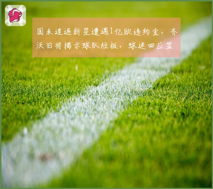 国米追逐新星遭遇1亿欧违约金，齐沃旧将揭示球队短板，球迷回应显失望