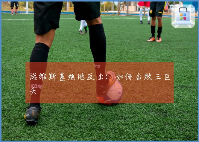 诺维斯基绝地反击：如何击败三巨头